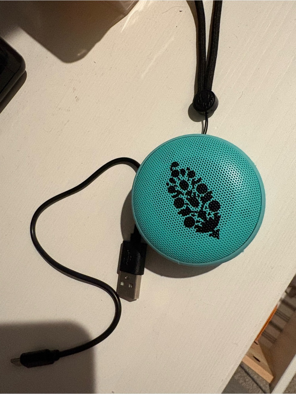 💗CLEAR OUT SALE💗 FP Movement x Speaqua Cruiser Bluetooth Speaker